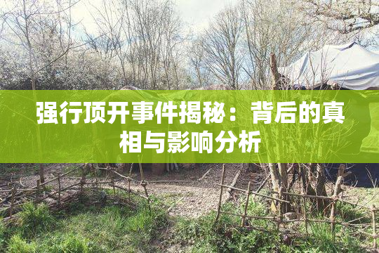 强行顶开事件揭秘：背后的真相与影响分析