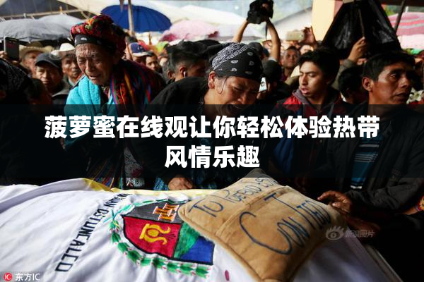 菠萝蜜在线观让你轻松体验热带风情乐趣