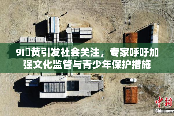 9I婬黄引发社会关注，专家呼吁加强文化监管与青少年保护措施