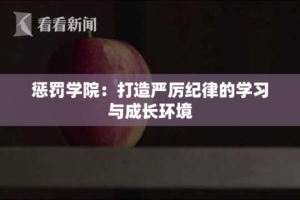 惩罚学院：打造严厉纪律的学习与成长环境