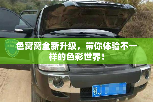 色窝窝全新升级，带你体验不一样的色彩世界！