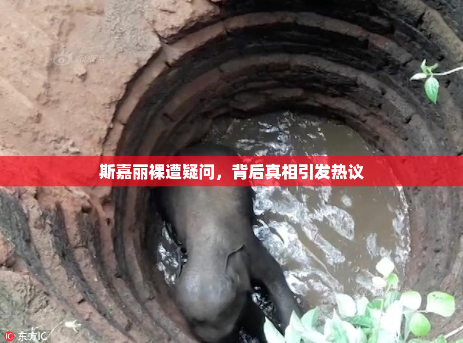 斯嘉丽裸遭疑问，背后真相引发热议