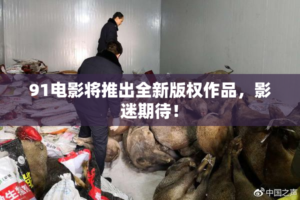 91电影将推出全新版权作品，影迷期待！
