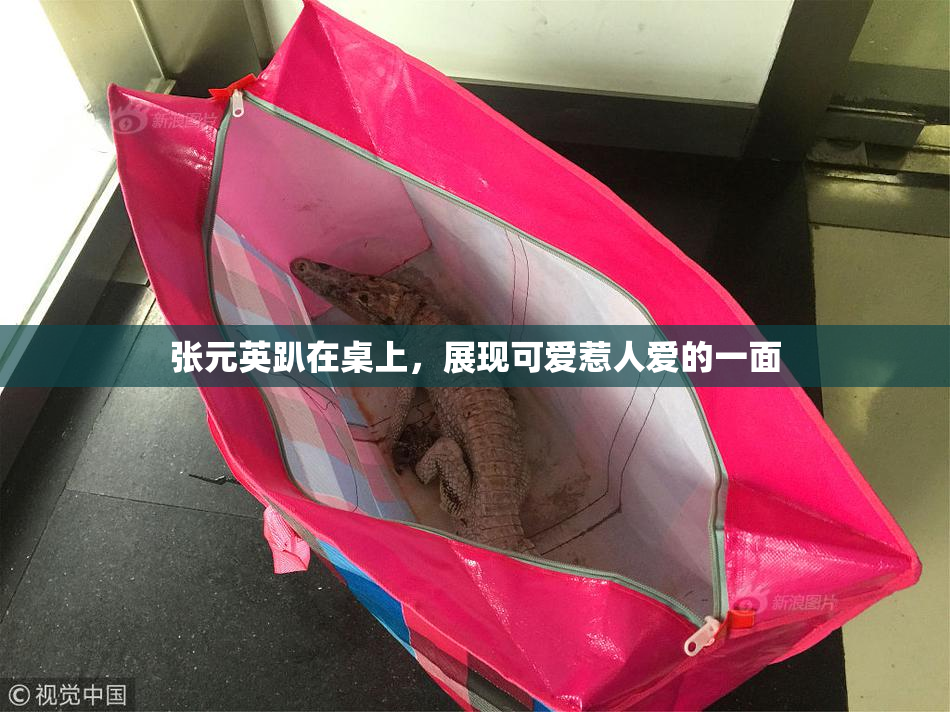 张元英趴在桌上，展现可爱惹人爱的一面