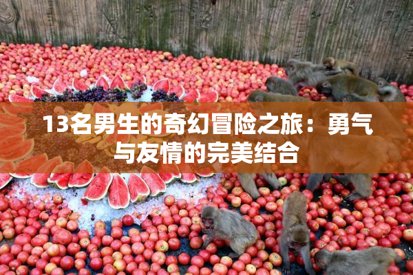 13名男生的奇幻冒险之旅：勇气与友情的完美结合