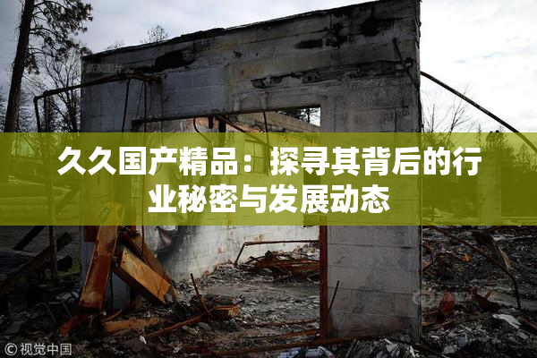 久久国产精品：探寻其背后的行业秘密与发展动态