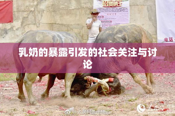 乳奶的暴露引发的社会关注与讨论