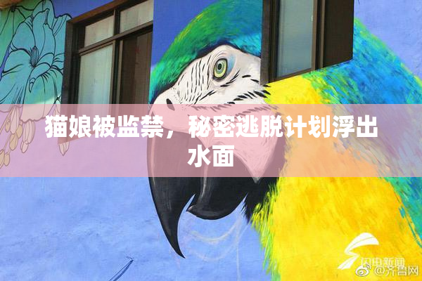 猫娘被监禁，秘密逃脱计划浮出水面