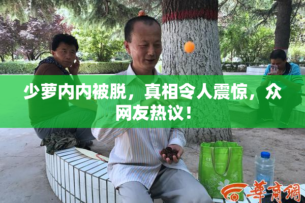 少萝内内被脱，真相令人震惊，众网友热议！