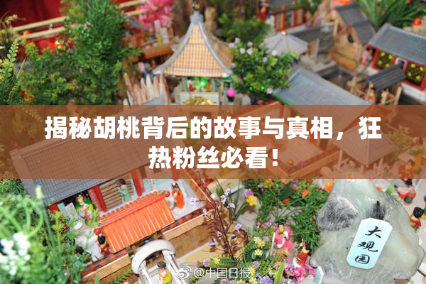 揭秘胡桃背后的故事与真相，狂热粉丝必看！