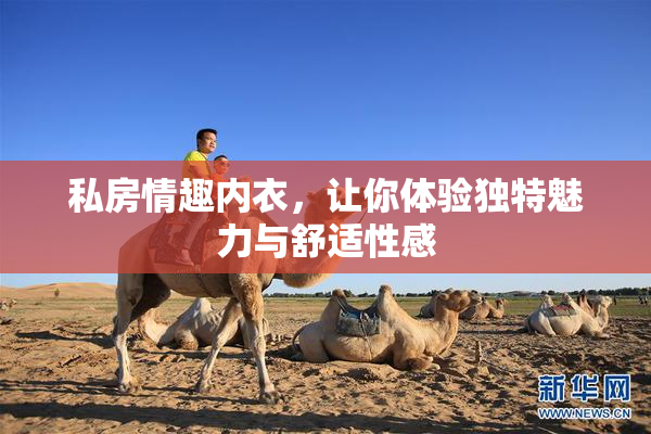 私房情趣内衣，让你体验独特魅力与舒适性感