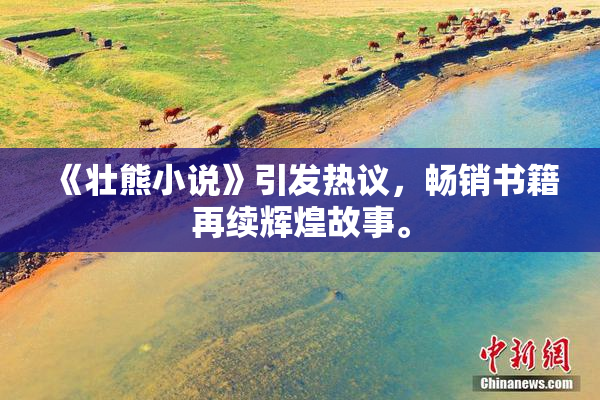 《壮熊小说》引发热议，畅销书籍再续辉煌故事。