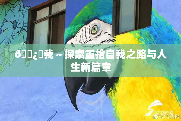 🌿‌我～探索重拾自我之路与人生新篇章