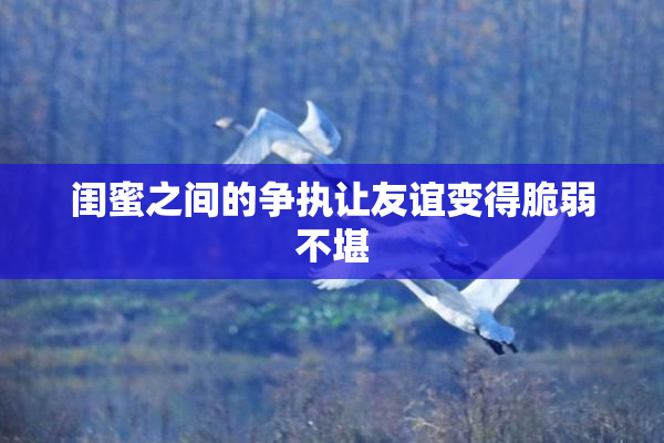 闺蜜之间的争执让友谊变得脆弱不堪