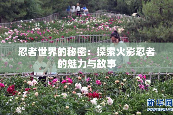 忍者世界的秘密：探索火影忍者的魅力与故事