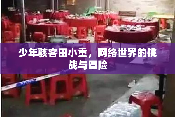 少年骇客田小重，网络世界的挑战与冒险