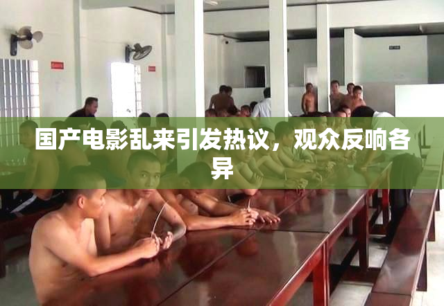 国产电影乱来引发热议，观众反响各异