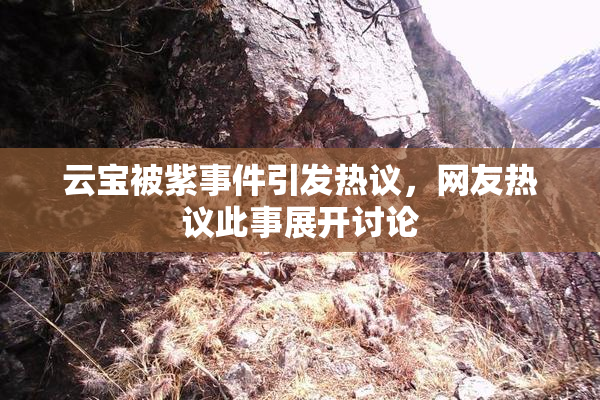 云宝被紫事件引发热议，网友热议此事展开讨论