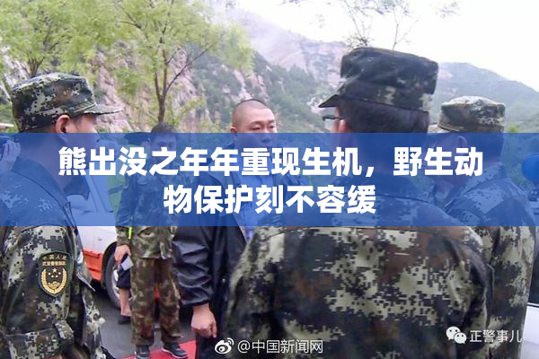 熊出没之年年重现生机，野生动物保护刻不容缓