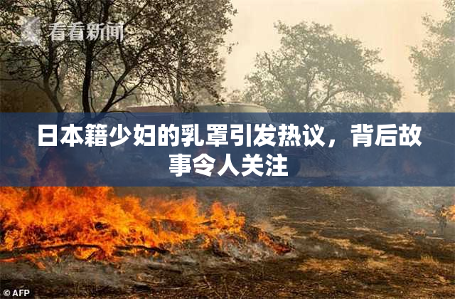 日本籍少妇的乳罩引发热议，背后故事令人关注