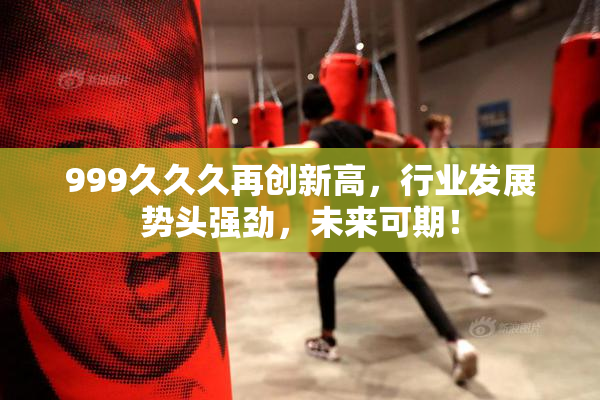 999久久久再创新高，行业发展势头强劲，未来可期！