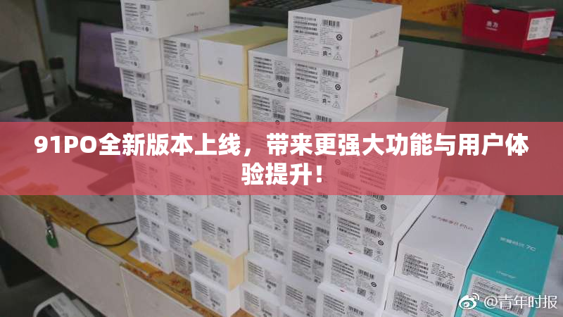 91PO全新版本上线，带来更强大功能与用户体验提升！