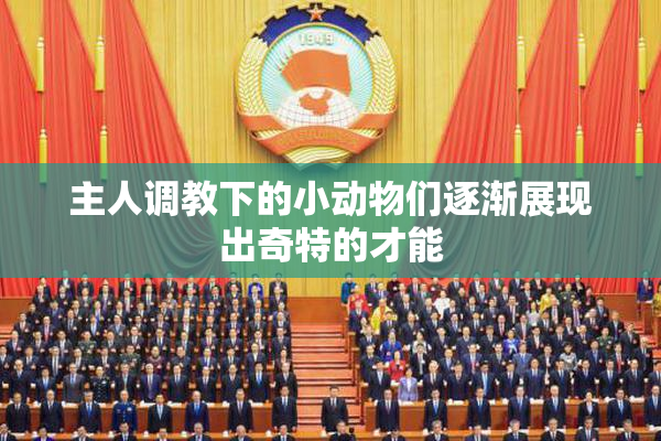 主人调教下的小动物们逐渐展现出奇特的才能