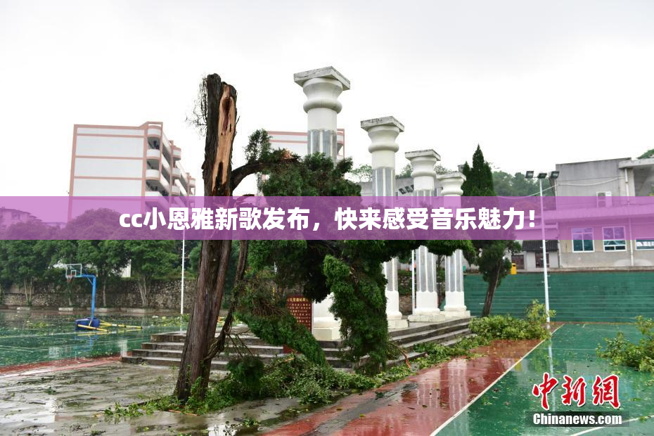cc小恩雅新歌发布，快来感受音乐魅力！