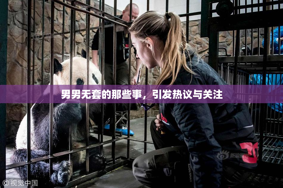男男无套的那些事，引发热议与关注