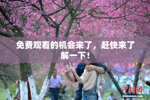 免费观看的机会来了，赶快来了解一下！