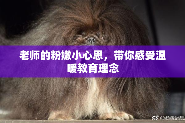 老师的粉嫩小心思，带你感受温暖教育理念