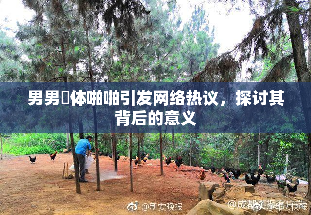 男男祼体啪啪引发网络热议，探讨其背后的意义