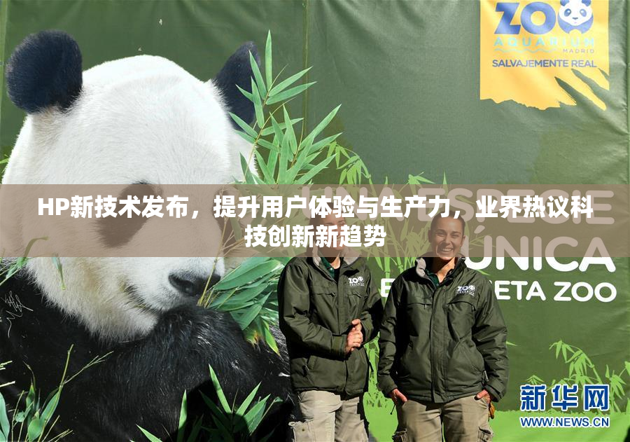 HP新技术发布，提升用户体验与生产力，业界热议科技创新新趋势