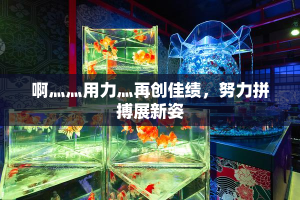 啊灬灬用力灬再创佳绩，努力拼搏展新姿