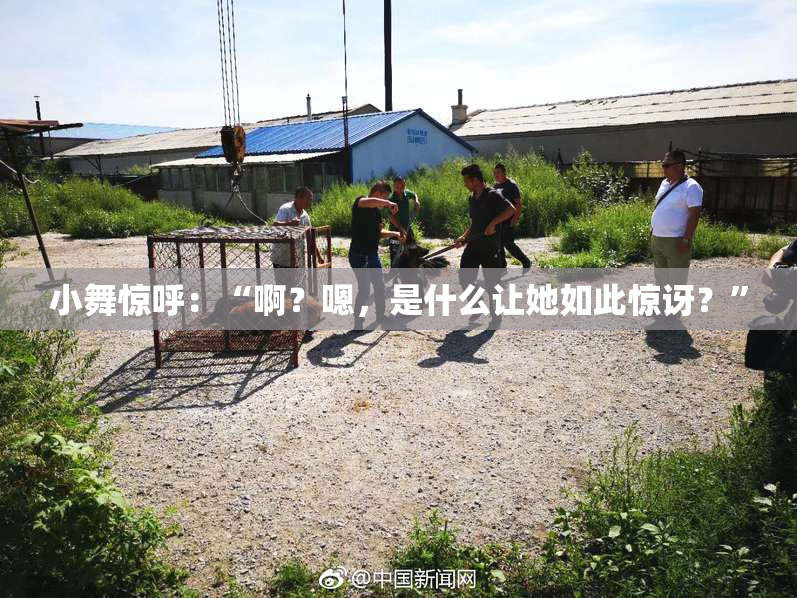 小舞惊呼：“啊？嗯，是什么让她如此惊讶？”