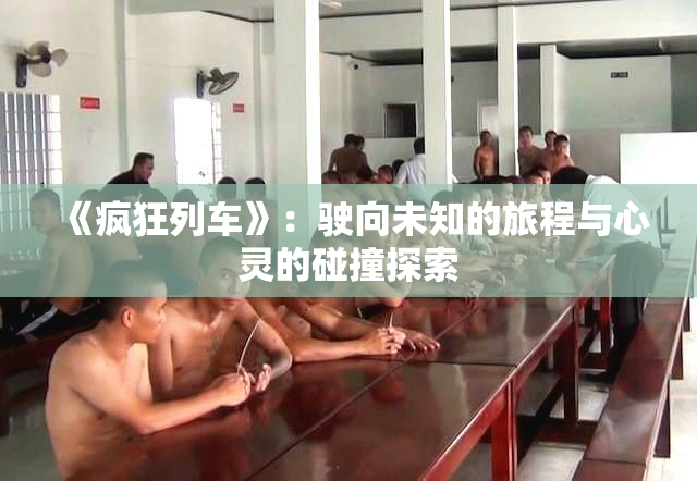 《疯狂列车》：驶向未知的旅程与心灵的碰撞探索