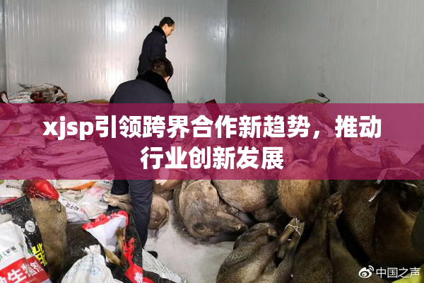 xjsp引领跨界合作新趋势，推动行业创新发展