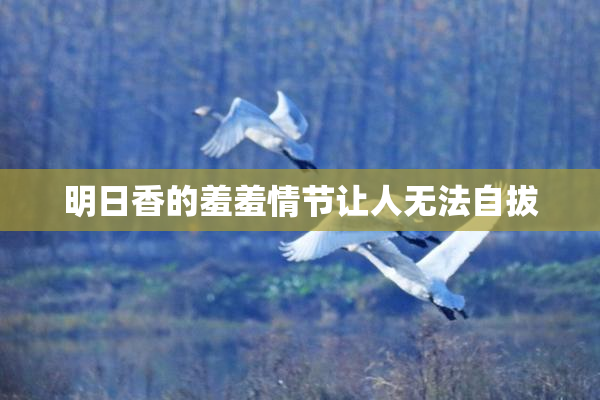 明日香的羞羞情节让人无法自拔