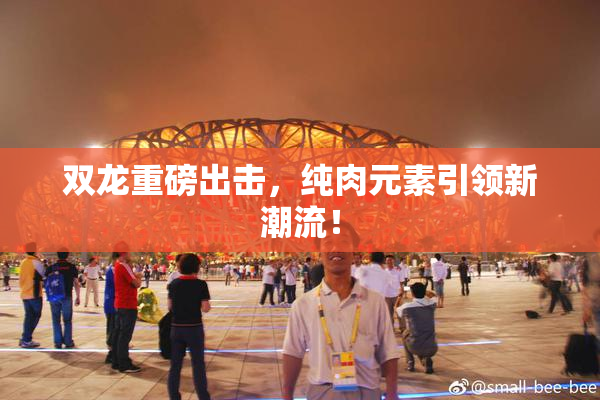 双龙重磅出击，纯肉元素引领新潮流！