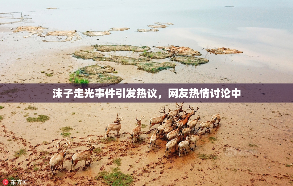 沫子走光事件引发热议，网友热情讨论中