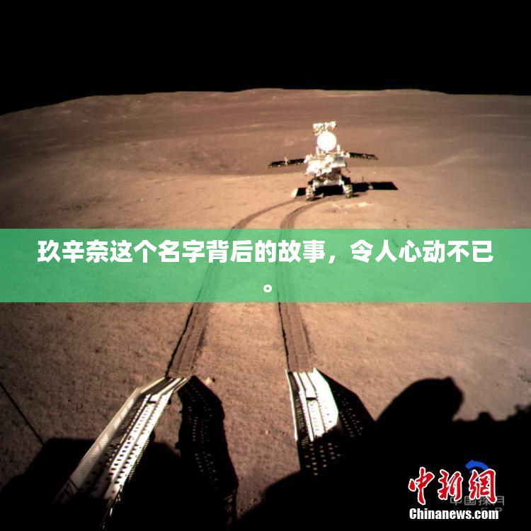玖辛奈这个名字背后的故事，令人心动不已。