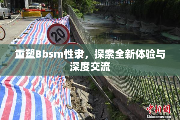 重塑Bbsm性隶，探索全新体验与深度交流