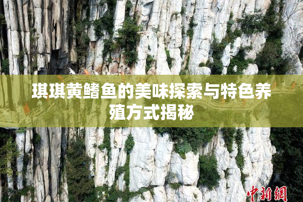琪琪黄鳍鱼的美味探索与特色养殖方式揭秘