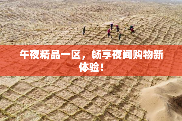 午夜精品一区，畅享夜间购物新体验！