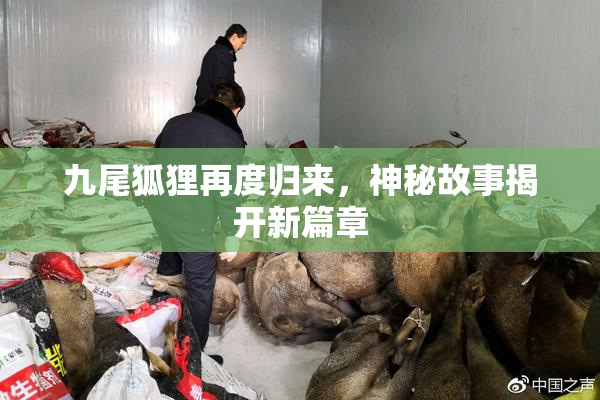 九尾狐狸再度归来，神秘故事揭开新篇章