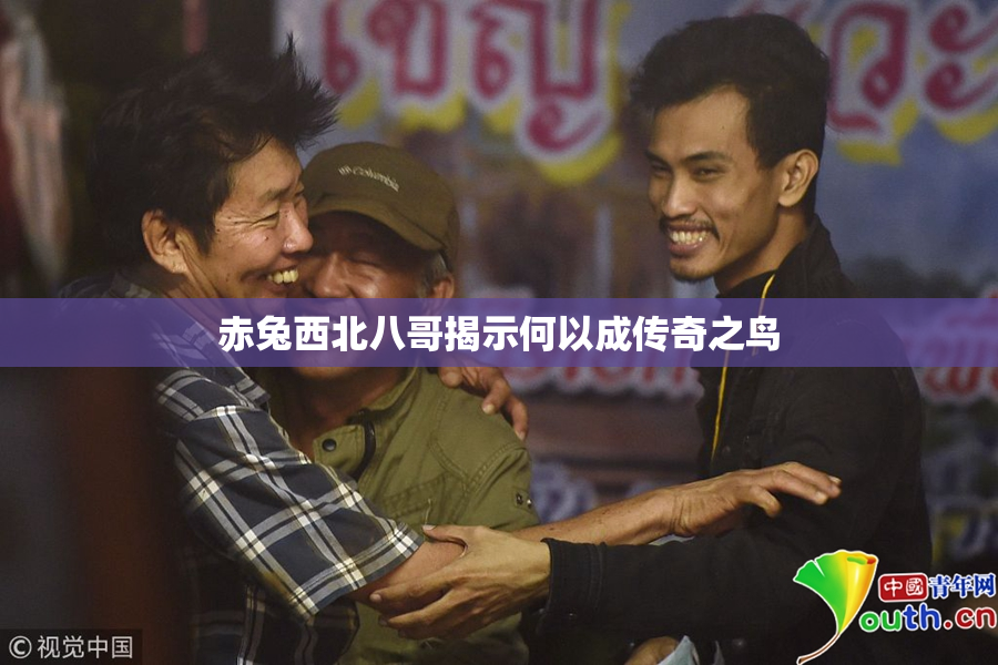 赤兔西北八哥揭示何以成传奇之鸟