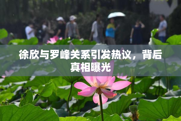 徐欣与罗峰关系引发热议，背后真相曝光