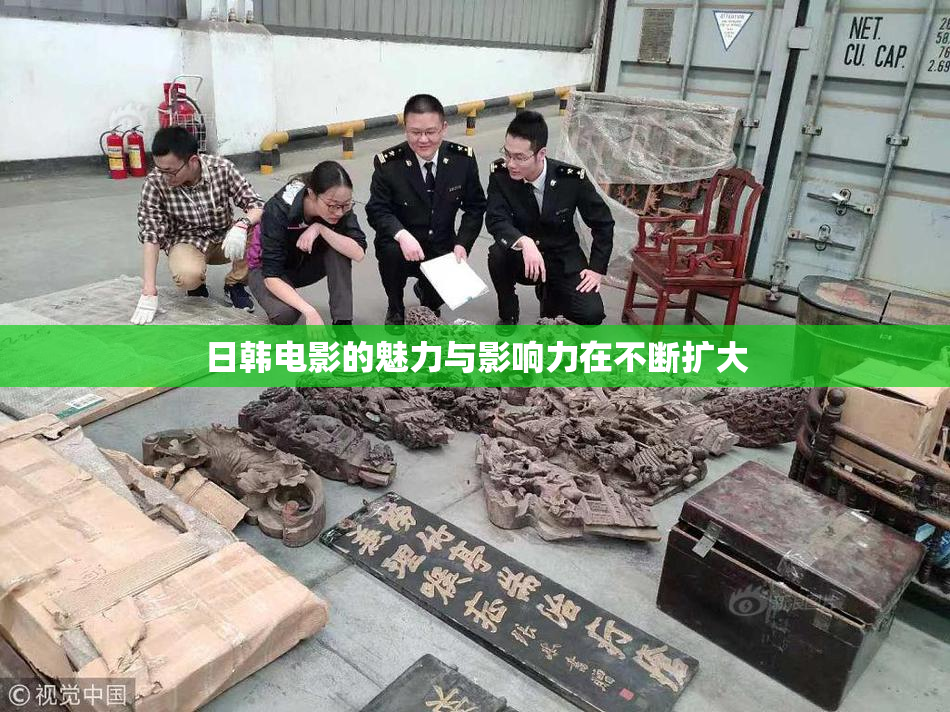 日韩电影的魅力与影响力在不断扩大