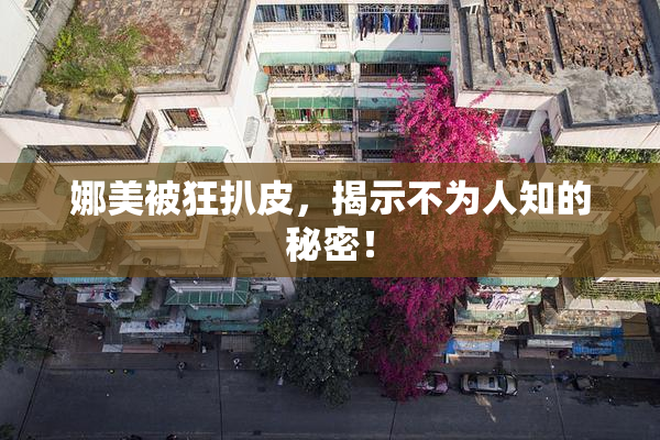 娜美被狂扒皮，揭示不为人知的秘密！
