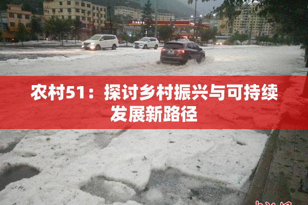 农村51：探讨乡村振兴与可持续发展新路径